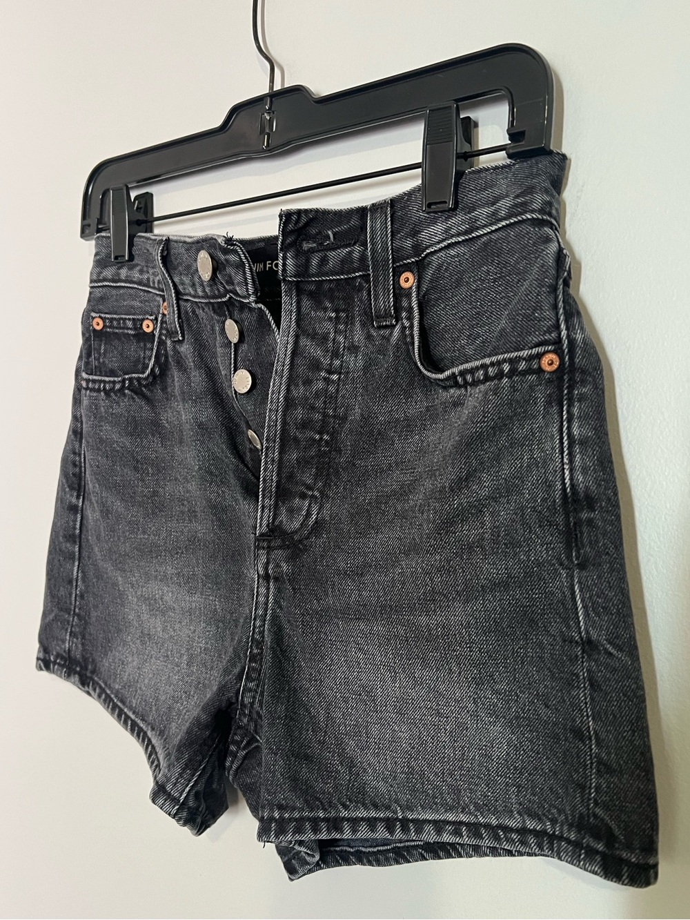 Aritzia Denim Forum Joni Shorts Size 23